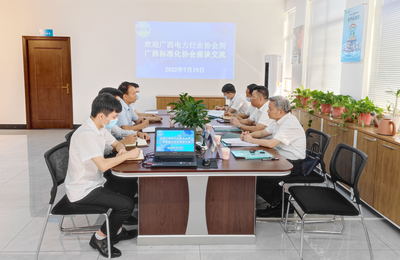 廣西電力行業(yè)協(xié)會(huì)赴廣西標(biāo)準(zhǔn)化協(xié)會(huì)開(kāi)展技術(shù)咨詢(xún)與交流合作